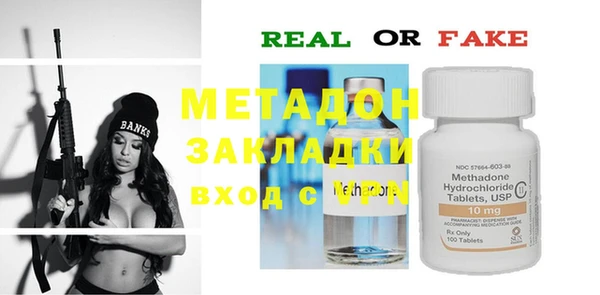 прущие грибы Абаза