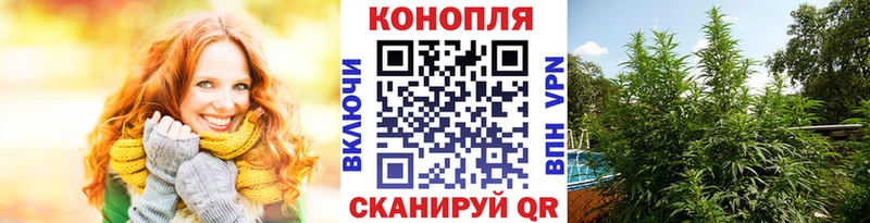 продажа наркотиков  Белый  Каннабис ГИДРОПОН 